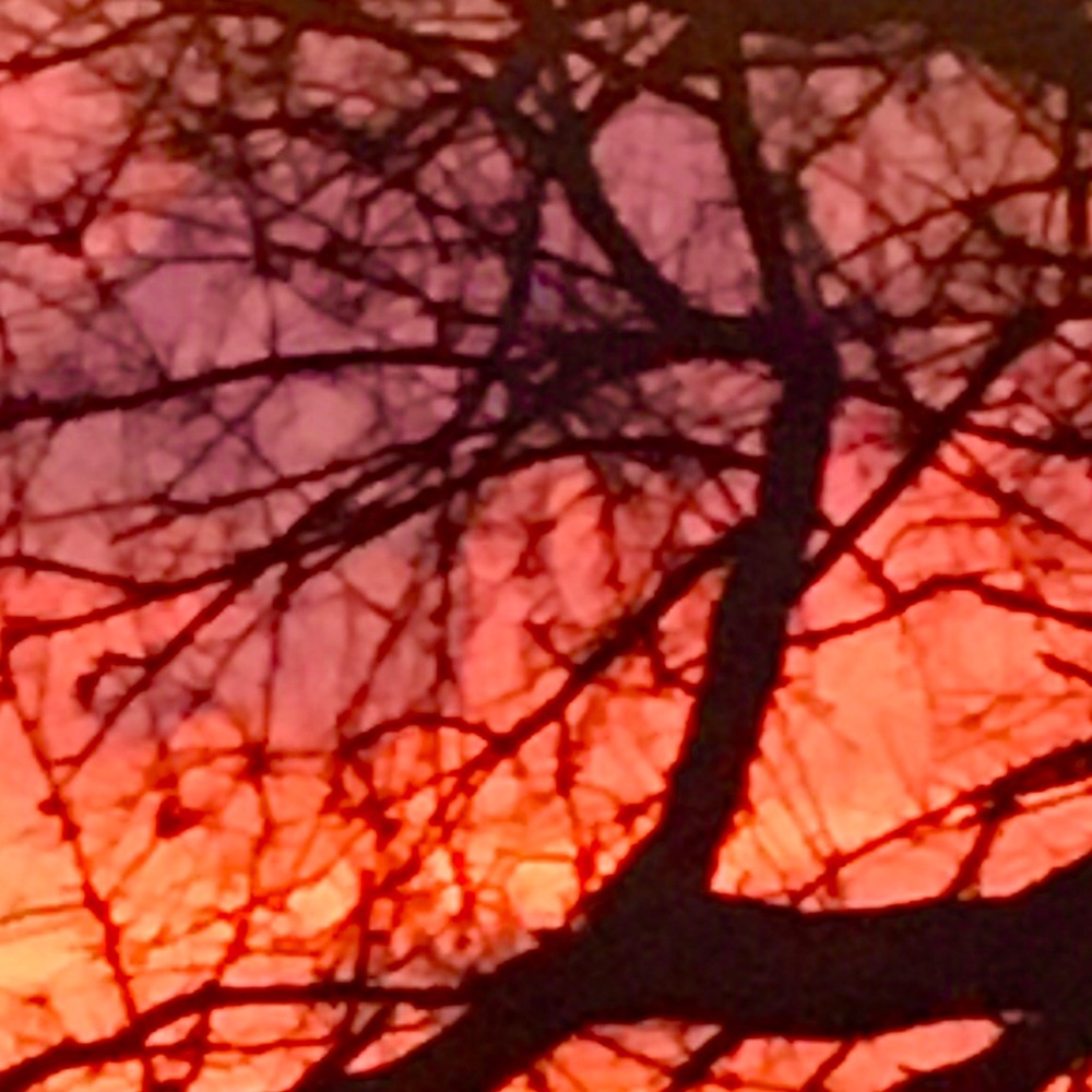 Meet your Posher, Sydney